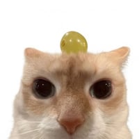 Token Icon