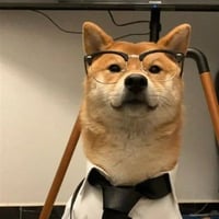 Dogtor