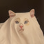 Ghost Cat
