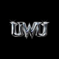 Unlimited Wealth Utility