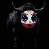 The retarded bull