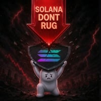 SOLANA DONT RUG