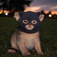 Crime Cat