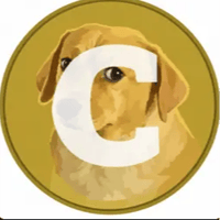 CASHEW logo