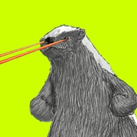 The Honey Badger