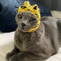 wBNBcat