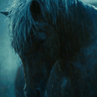 The Horse Replicant