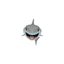 SHARK GUY