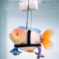 Wheelchair Fish
