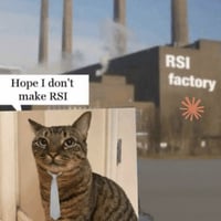 RSICat logo