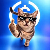 Cool Cat