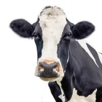 ABv75T7jMH2gTw7mcqbS11WRJuWoL6St5z9gJzN2pump