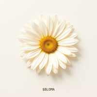 bloma