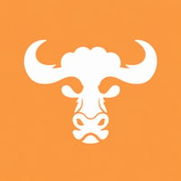 The Bull Coin 