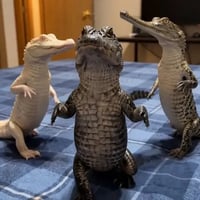 CROCODILES logo