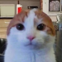 bob