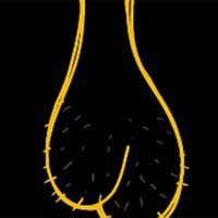 抬起你的蛋蛋，把屁股掰开