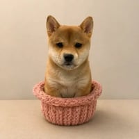 Hatwifdog