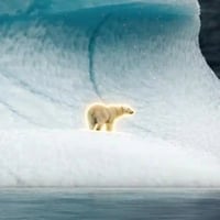 ICEBERG