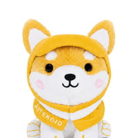 Asteroid Shiba