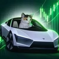 No Risk No Roadster