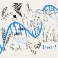 Evo 2