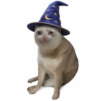 Wizard Cat