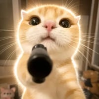 Cat Wif Gun