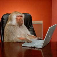 apeonputer