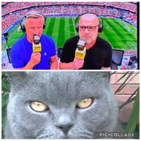 Bob The Cat logo