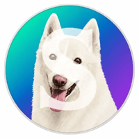 Solcoin