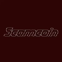 scamcoin logo