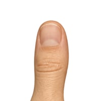 FINGER logo