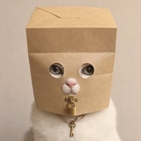Padlocat