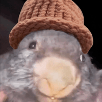 BWIF