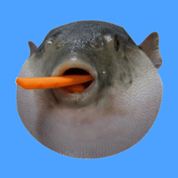 Puffer Eat Carrot