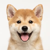 Inufication