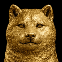 gold doge