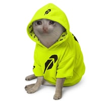 catwifhood