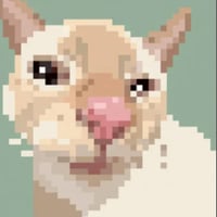 Cutecat