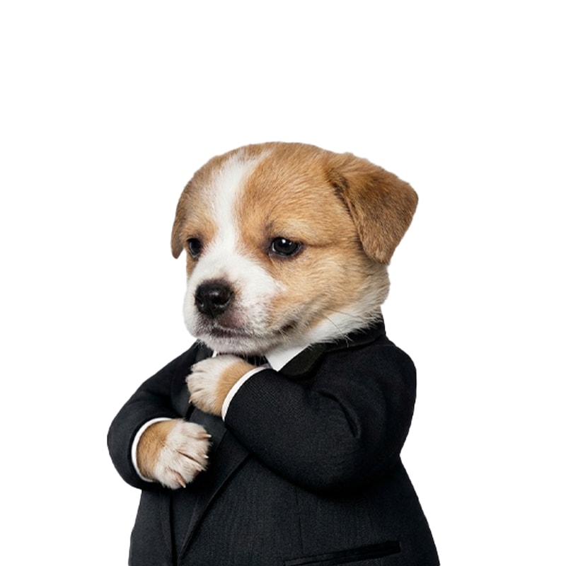 3mbkixztp2j9tspnu2fard32wwahthc5b9zhb3empump