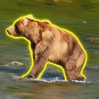 Bear 89 Backpack