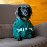 BITSTAMPDOG logo