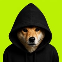Dog In Hood