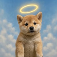 Holy Inu