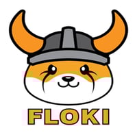 Floki on SOL