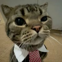 MarketCat