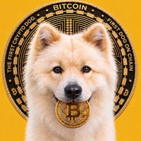 BUDDY - First Crypto Dog
