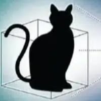 Cat logo