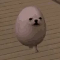 EGGDOG